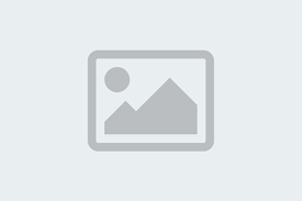 Florida Vs Boston 2025 Live Stream